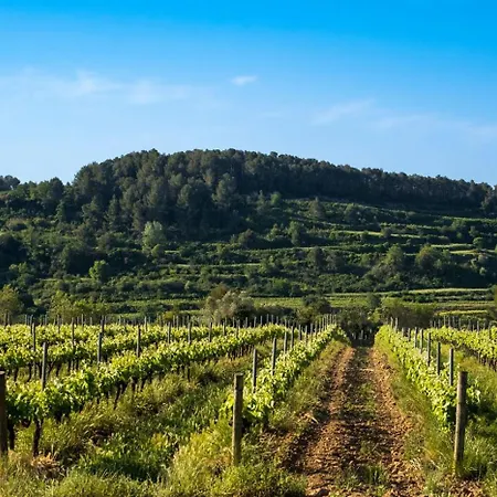 Hotell Air Penedes 4*